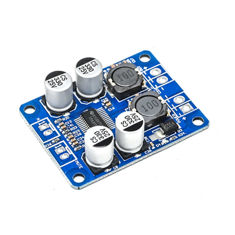 TPA3118 PBTL Mono Digital Amplifier Board 1X60W 12V 24V Power Amplifier Module-picture-15