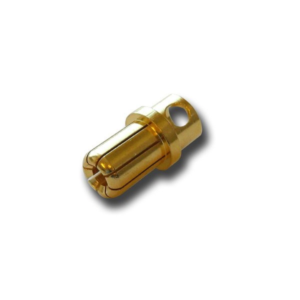 Amass 8mm Gold Plated Bullet Connector Male-1Pcs -GC8010-M.G-image-49