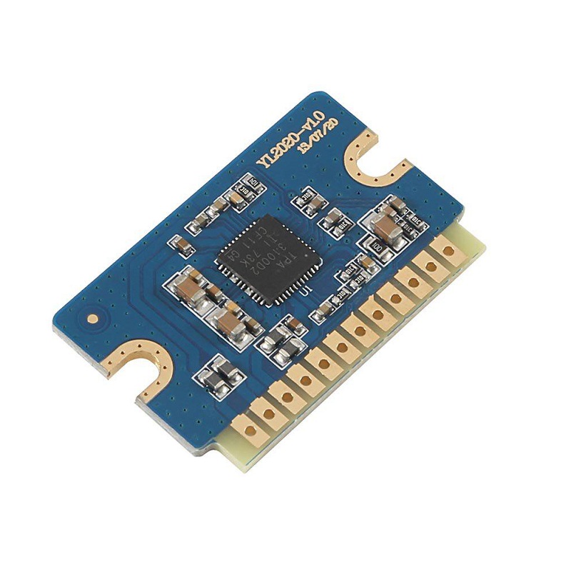 YL2020 20W+20W D Class 12V-24V Mini Digital Power Amplifier Module-picture-23