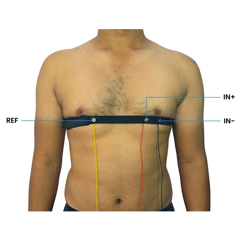 Heart BioAmp Band (ECG Band)-picture-20