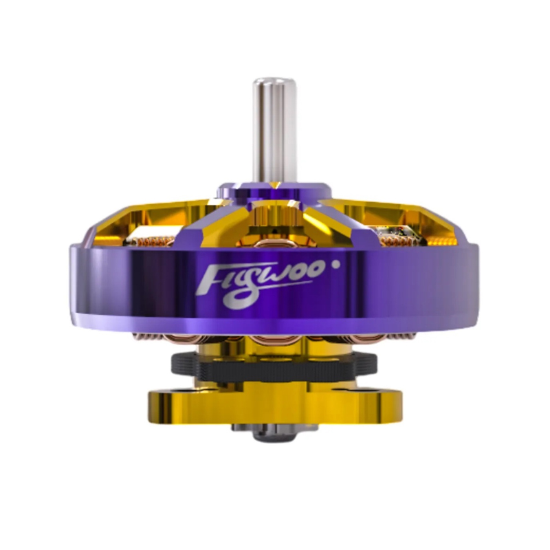 Flywoo ROBO 1002 23500KV Motor 1PC-image-44