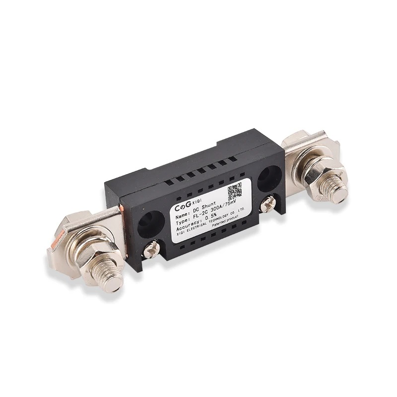 XIQI Electric CG FL-2C 300A 75mV Dc Current Shunt Rated From 75mV DC Voltage Meter-image-6