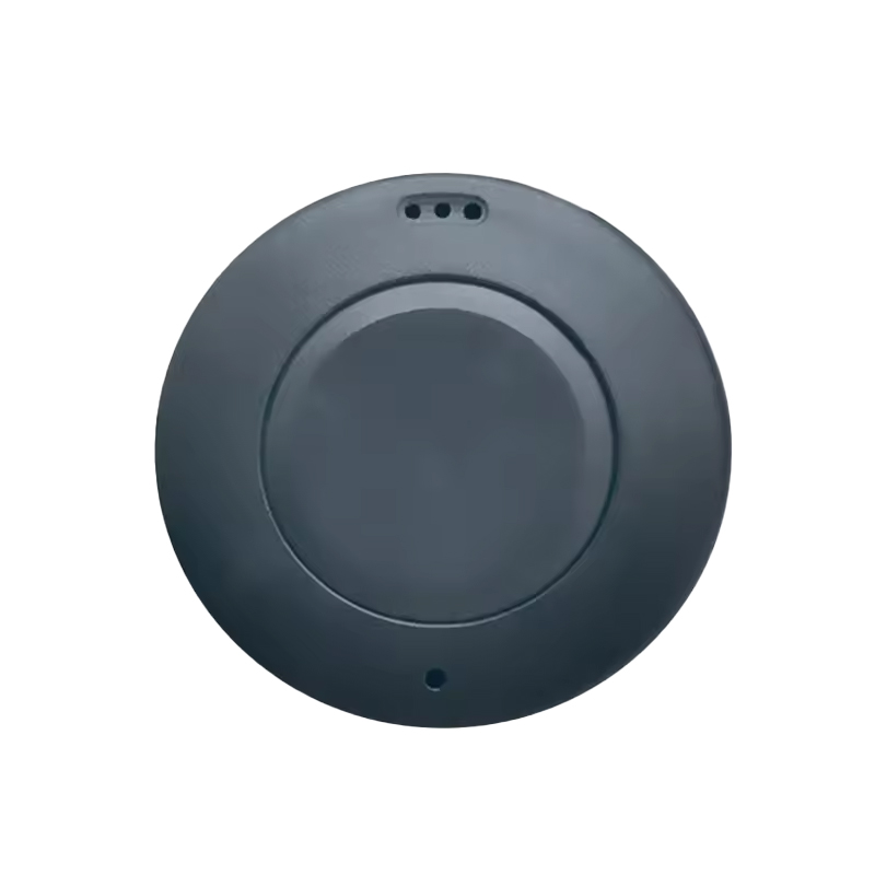 Holyiot 21011, nRF52810 Accelerometer Asset Tracking Beacon Waterproof BLE 4.2 Ibeacon (without ear)-image-34