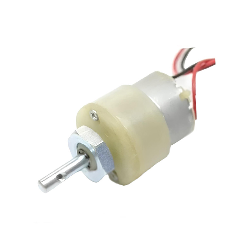 DC Motor 3RPM 12Volts-image-28