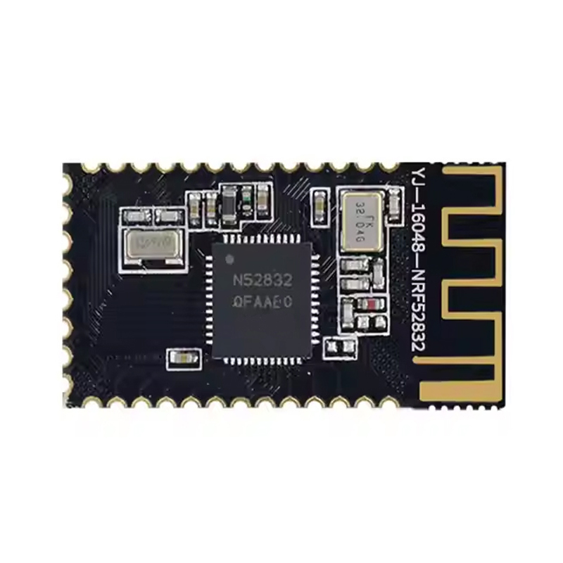 Holyiot 16048, nRF52832 IoT Wireless Transceiver-picture-26