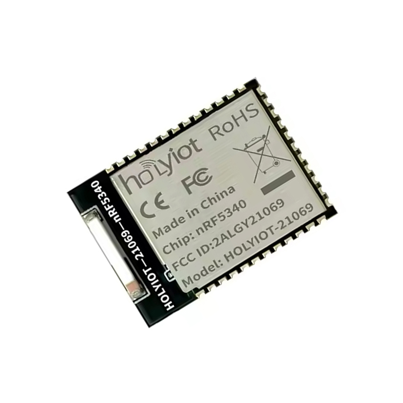 Holyiot 21069, nRF5340 Wearable Devices Smart Howireless moduleme Ultra-low Power Consumption Module-picture-37