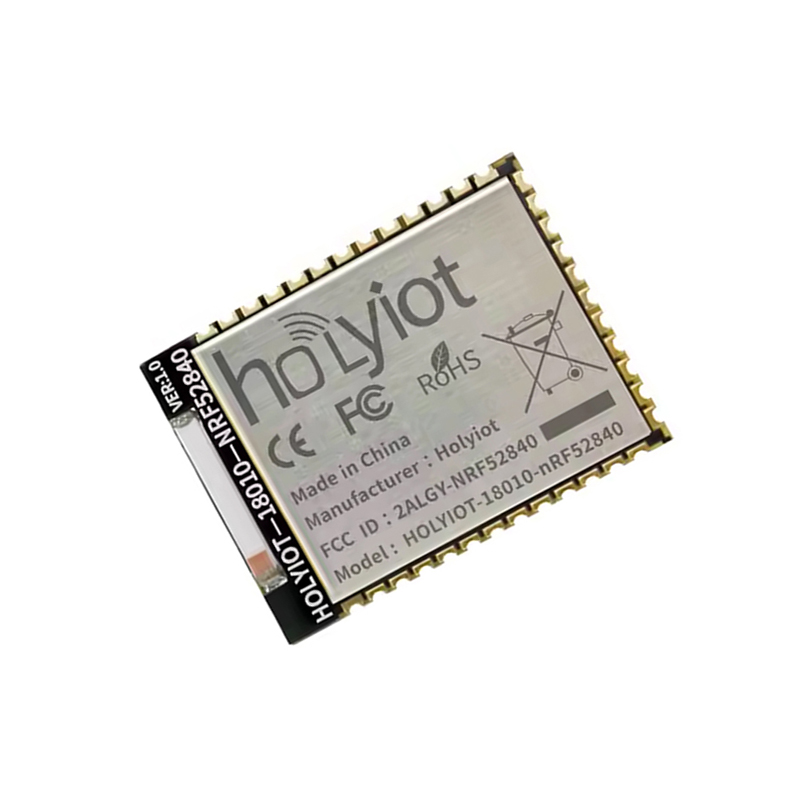 Holyiot 18010, Nrf52840 Long Range Chipset BLE Module-picture-24