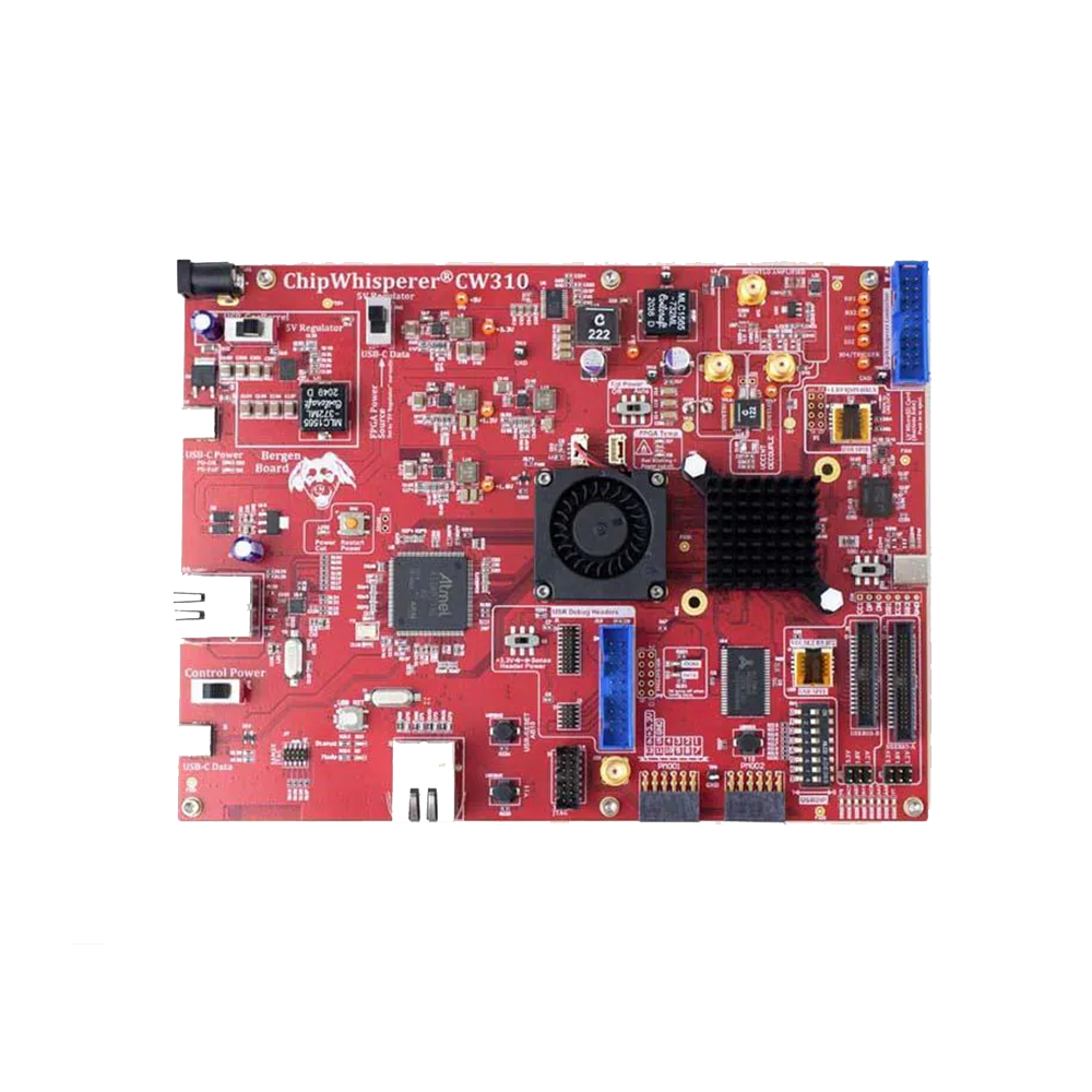 NewAE NAE-CW310-K410T-SCA Programmable Logic IC Development Tools CW310 Bergen Board-image-4